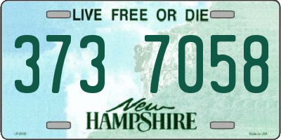NH license plate 3737058