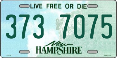 NH license plate 3737075