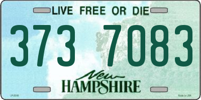 NH license plate 3737083