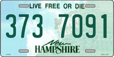 NH license plate 3737091