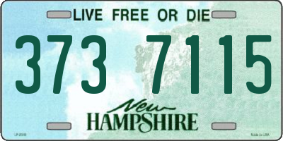 NH license plate 3737115