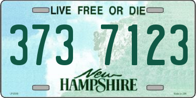 NH license plate 3737123