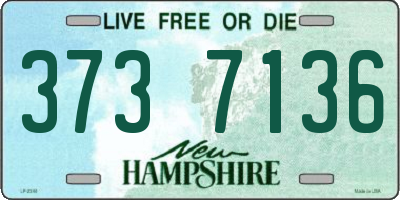 NH license plate 3737136