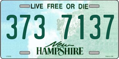 NH license plate 3737137