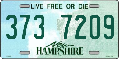 NH license plate 3737209