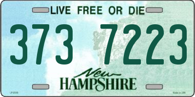 NH license plate 3737223