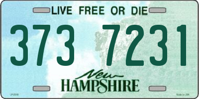 NH license plate 3737231