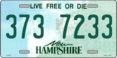 NH license plate 3737233
