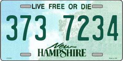 NH license plate 3737234