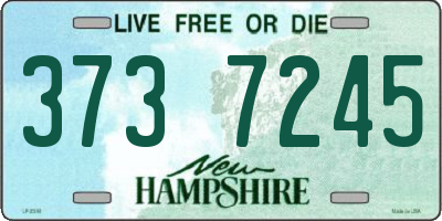 NH license plate 3737245