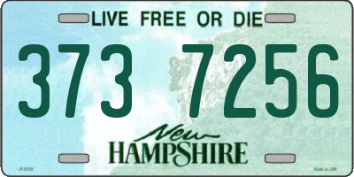 NH license plate 3737256