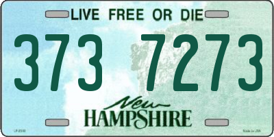 NH license plate 3737273