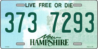 NH license plate 3737293