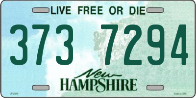 NH license plate 3737294