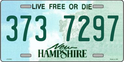 NH license plate 3737297