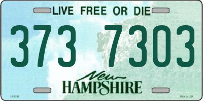NH license plate 3737303
