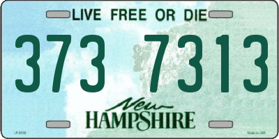 NH license plate 3737313