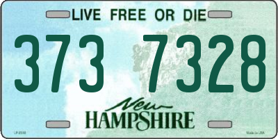 NH license plate 3737328