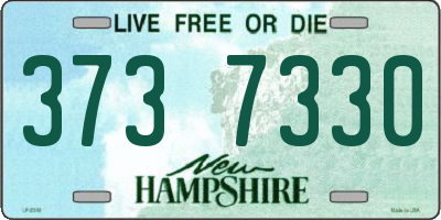 NH license plate 3737330
