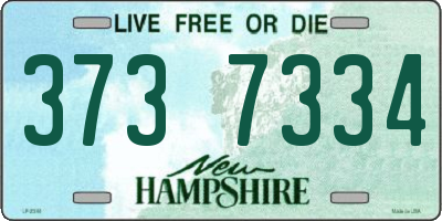 NH license plate 3737334