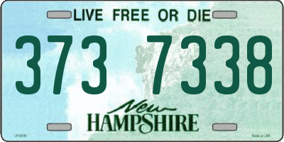 NH license plate 3737338