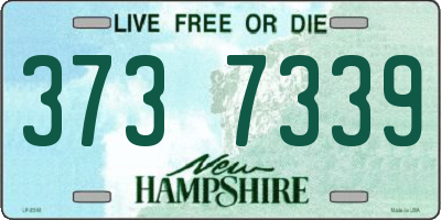 NH license plate 3737339