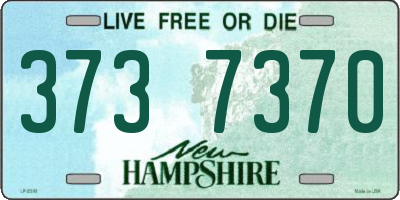 NH license plate 3737370