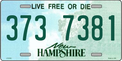 NH license plate 3737381