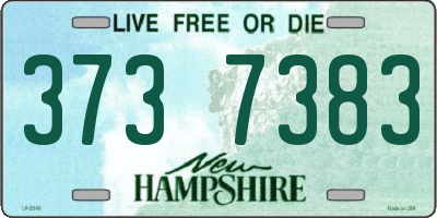 NH license plate 3737383