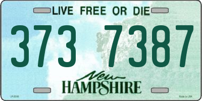NH license plate 3737387