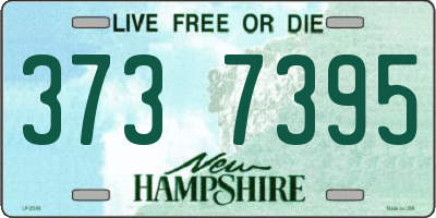 NH license plate 3737395