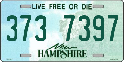 NH license plate 3737397