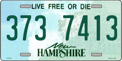 NH license plate 3737413