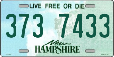 NH license plate 3737433