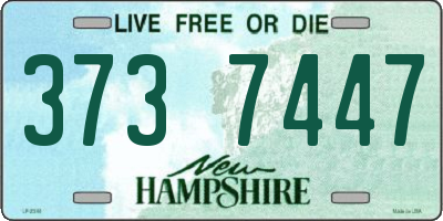 NH license plate 3737447