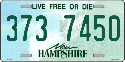 NH license plate 3737450