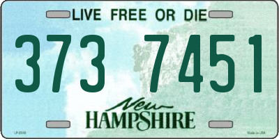 NH license plate 3737451