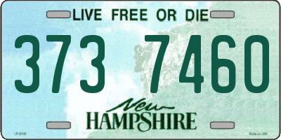 NH license plate 3737460