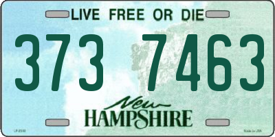 NH license plate 3737463