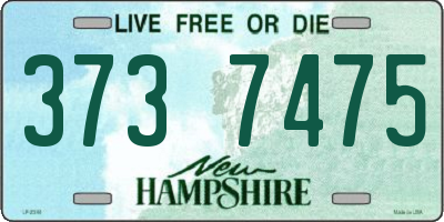 NH license plate 3737475
