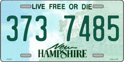 NH license plate 3737485