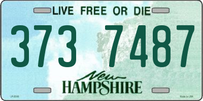 NH license plate 3737487