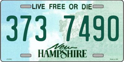 NH license plate 3737490