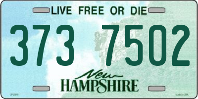 NH license plate 3737502