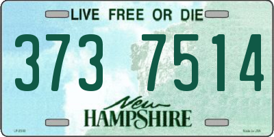 NH license plate 3737514