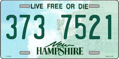 NH license plate 3737521