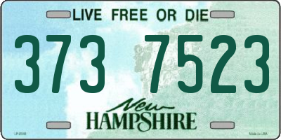 NH license plate 3737523