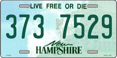NH license plate 3737529