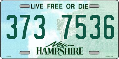 NH license plate 3737536