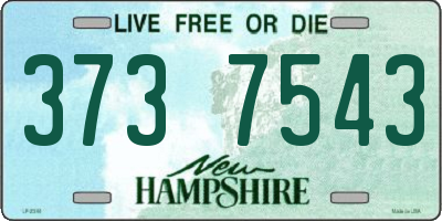 NH license plate 3737543